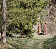 Punios &scaron;ilo (kunigaik&scaron;čių) ąžuolai