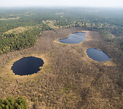 Prienų &scaron;ilas