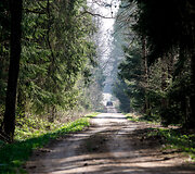 Prienų &scaron;ilas