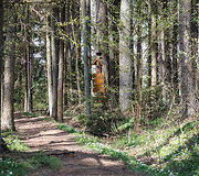 Prienų &scaron;ilas