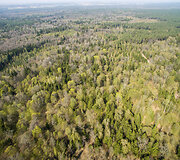 Punios &scaron;ilo gamtinis rezervatas