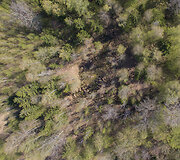 Punios &scaron;ilo gamtinis rezervatas