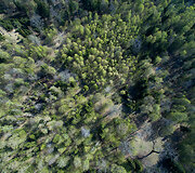 Punios &scaron;ilo gamtinis rezervatas