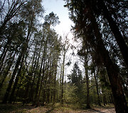 Punios &scaron;ilo gamtinis rezervatas