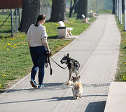 Vidos Radzevičienės augintiniai