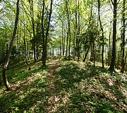 Babronių piliakalnis