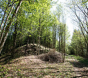 Babronių piliakalnis