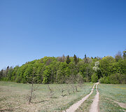 Voseliūnų piliakalnis