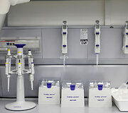 Klaipėdos universiteto laboratorijoje