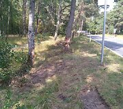 Įvykio vietoje
