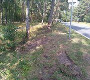 Įvykio vietoje
