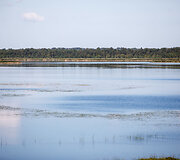 Vaizdas nuo lankytojų centro apžvalgos aik&scaron;telės