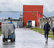 Kailinių žvėrelių ūkyje