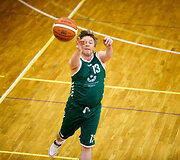 Ramūnas Karbauskis