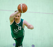 Ramūnas Karbauskis