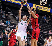 Martynas Tamulevičius