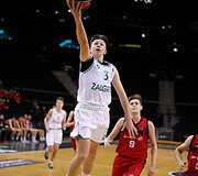 Dominykas Stenionis