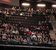 &bdquo;Žalgirio&ldquo; arenos tribūnos