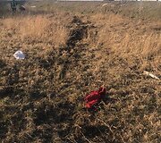 Avarijos vietoje