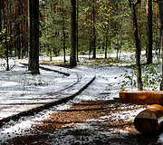 Smiltynų parkas ir jo prieigos