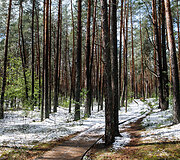Smiltynų parkas ir jo prieigos