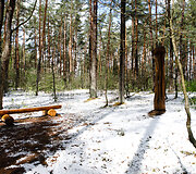 Smiltynų parkas ir jo prieigos