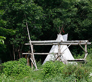 Tipis