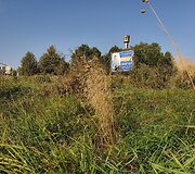 Rinkiminiai plakatai Rum&scaron;i&scaron;kėse