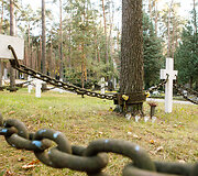 Petra&scaron;iūnų kapinės