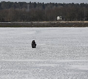 Kauno marių ledas