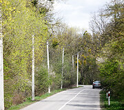 Titnago gatvė pakaunėje