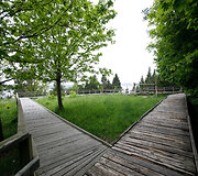 Kadagių slėnio pažintinis takas