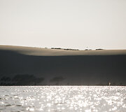 Pamario kra&scaron;to gamta