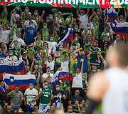 Sirgaliai &bdquo;Žalgirio&ldquo; arenoje