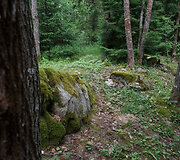 Akmenų rūžos pažintinis takas