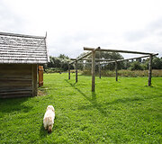 &bdquo;Vikingų kaimas&ldquo; &ndash; patyrimų muziejus po atviru dangumi