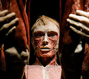 &bdquo;Body Worlds&ldquo; paroda