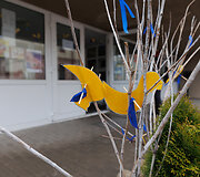 Kauno Aleksando Pu&scaron;kino gimnazija