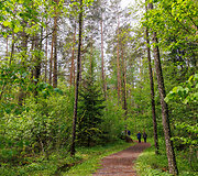 Pa&scaron;ilių stumbrynas