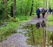 Pa&scaron;ilių stumbrynas