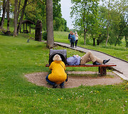 Krekenavos apylinkės