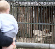 Zoologijos sodo gimtadienis