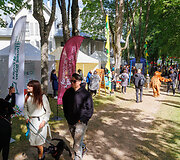 Festivalio akimirkos