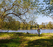 Nibrių žirgynėlis