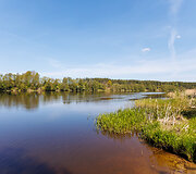 Nibrių žirgynėlis