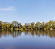 Nibrių žirgynėlis