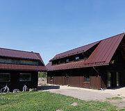 Nibrių žirgynėlis
