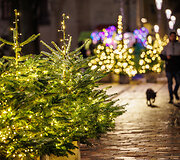 Vilniaus gatvė, Kauno senamiestis