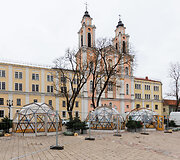 Kaune puo&scaron;iama Kalėdų eglė