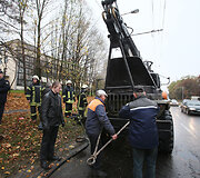 Sudegęs mi&scaron;kavežis